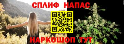 индика Ипатово