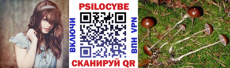 Галлюциногенные грибы MAGIC MUSHROOMS  mega как войти  Муром 