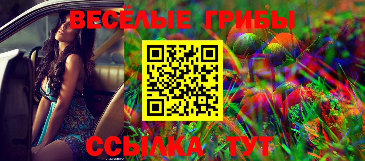 Муром  купить наркоту  Вход с VPN  Галлюциногенные грибы прущие грибы 